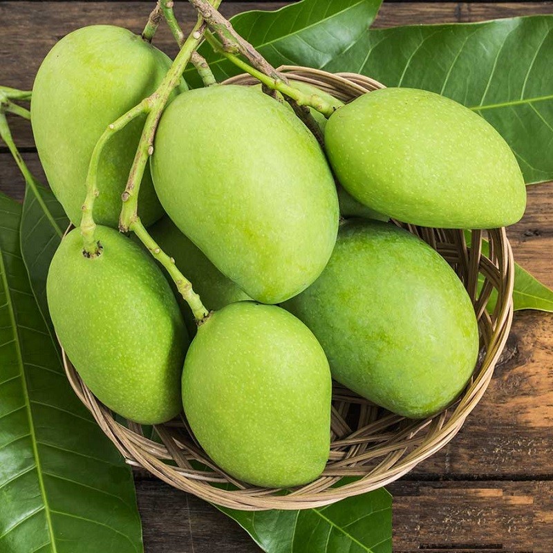Exquisite Mango: Exploring the Tropical Delight of Vietnam's